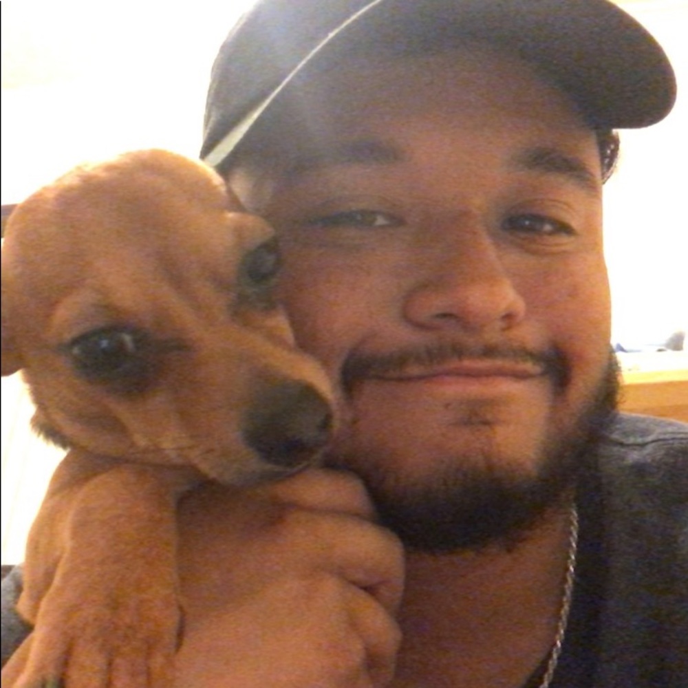 Meet your Posher, Den